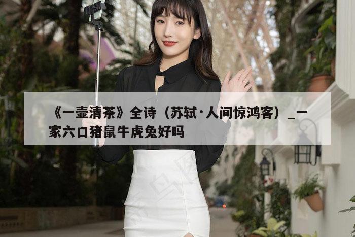 《一壶清茶》全诗（苏轼·人间惊鸿客）_一家六口猪鼠牛虎兔好吗